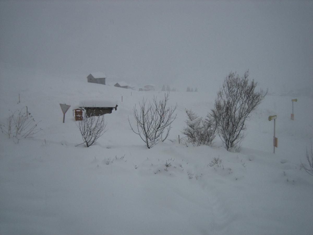 Haus Ursula Apartment Kals am Grossglockner Luaran gambar